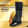 ͧҺ BOOTҺ BL ѹӢ ( BL6019 BR) ٧19  ͡