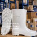 �ͧ��Һ�� BOOT��Һ���� BL �ѹ��Ӣ���� ( 9500 )
